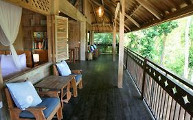 Artist Eco Villa In Ubud Bali